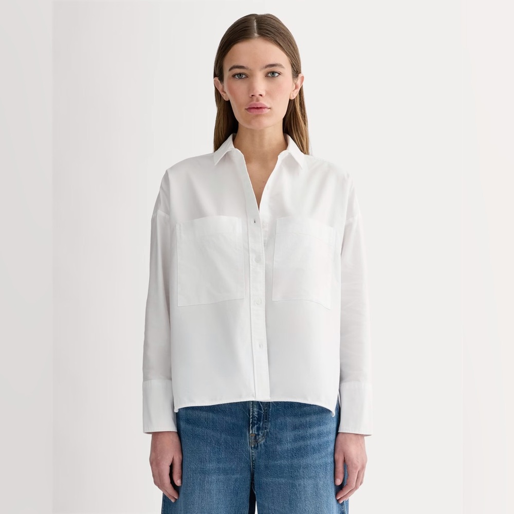 Everlane Boxy Oxford Shirt